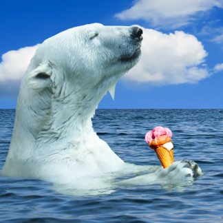 Gutschein - Motiv Eisbär